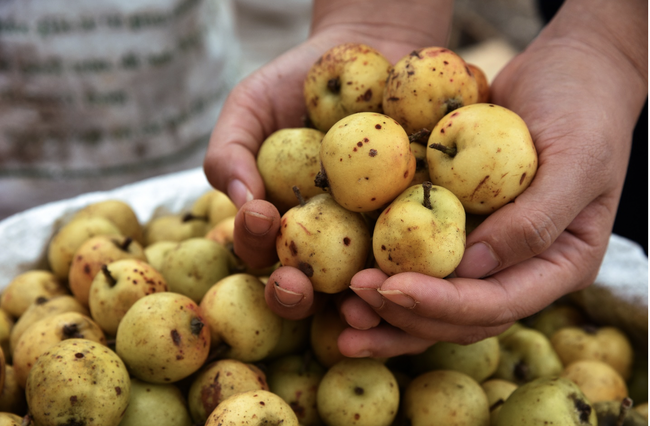 Điểm danh 9 loại trái cây mùa thu tốt cho sức khỏe tim mạch